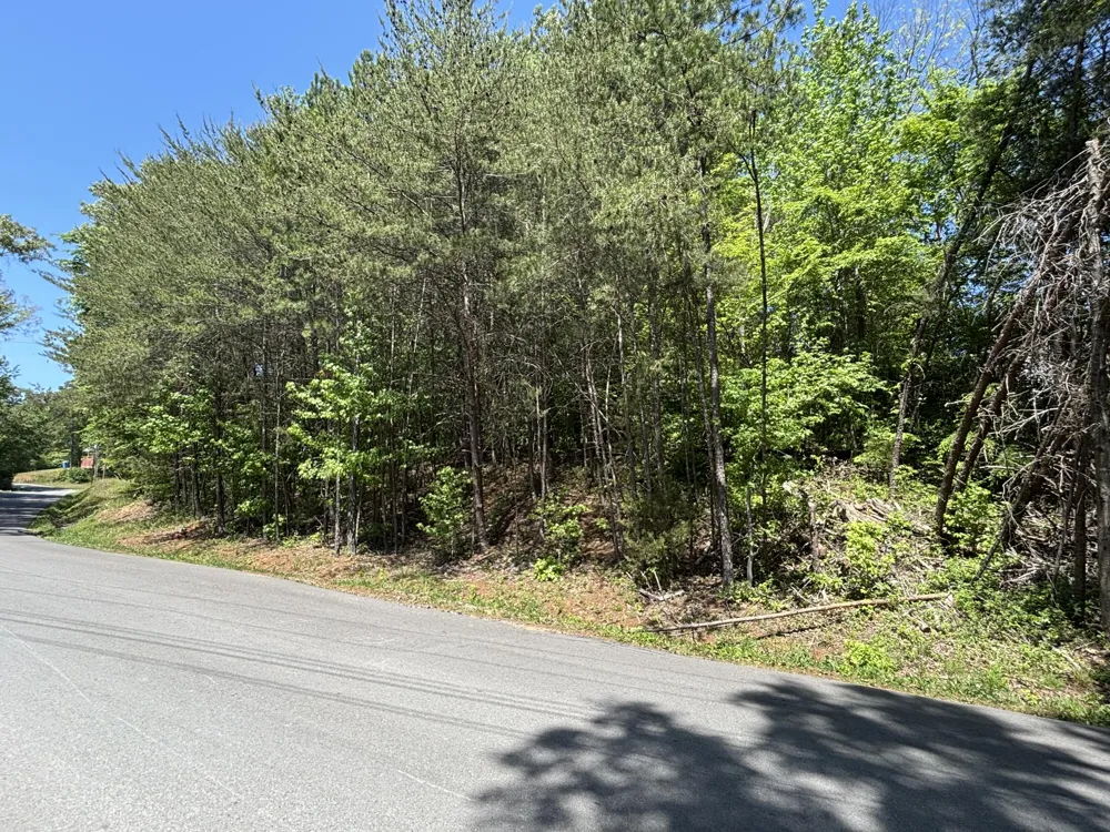 670 Lake View Drive New Hope, TN 37380