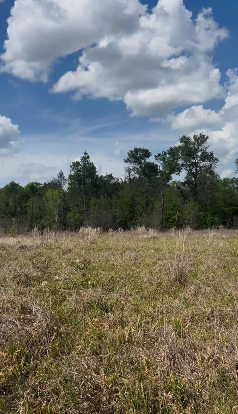 2147 8160 Tract 36