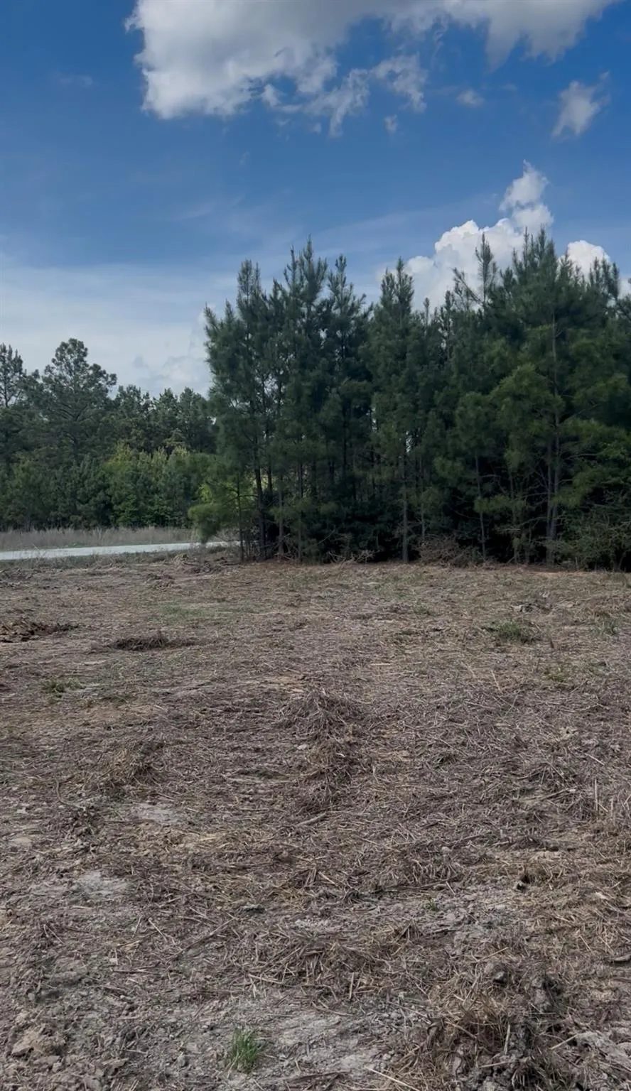 2147 8160 Tract 36 Lovelady, TX 75851