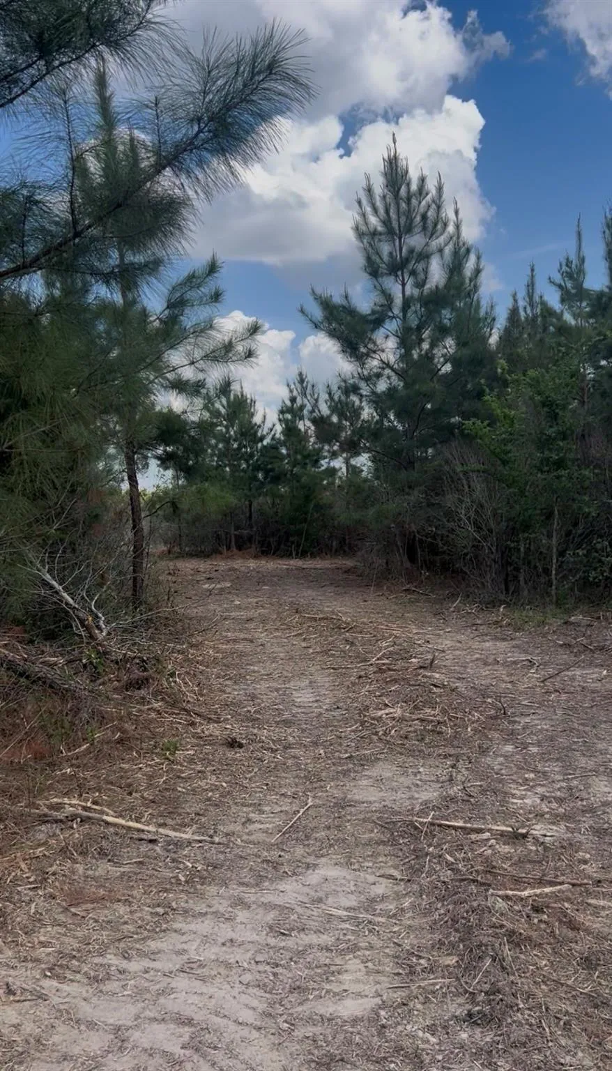 2147 8160 Tract 36 Lovelady, TX 75851
