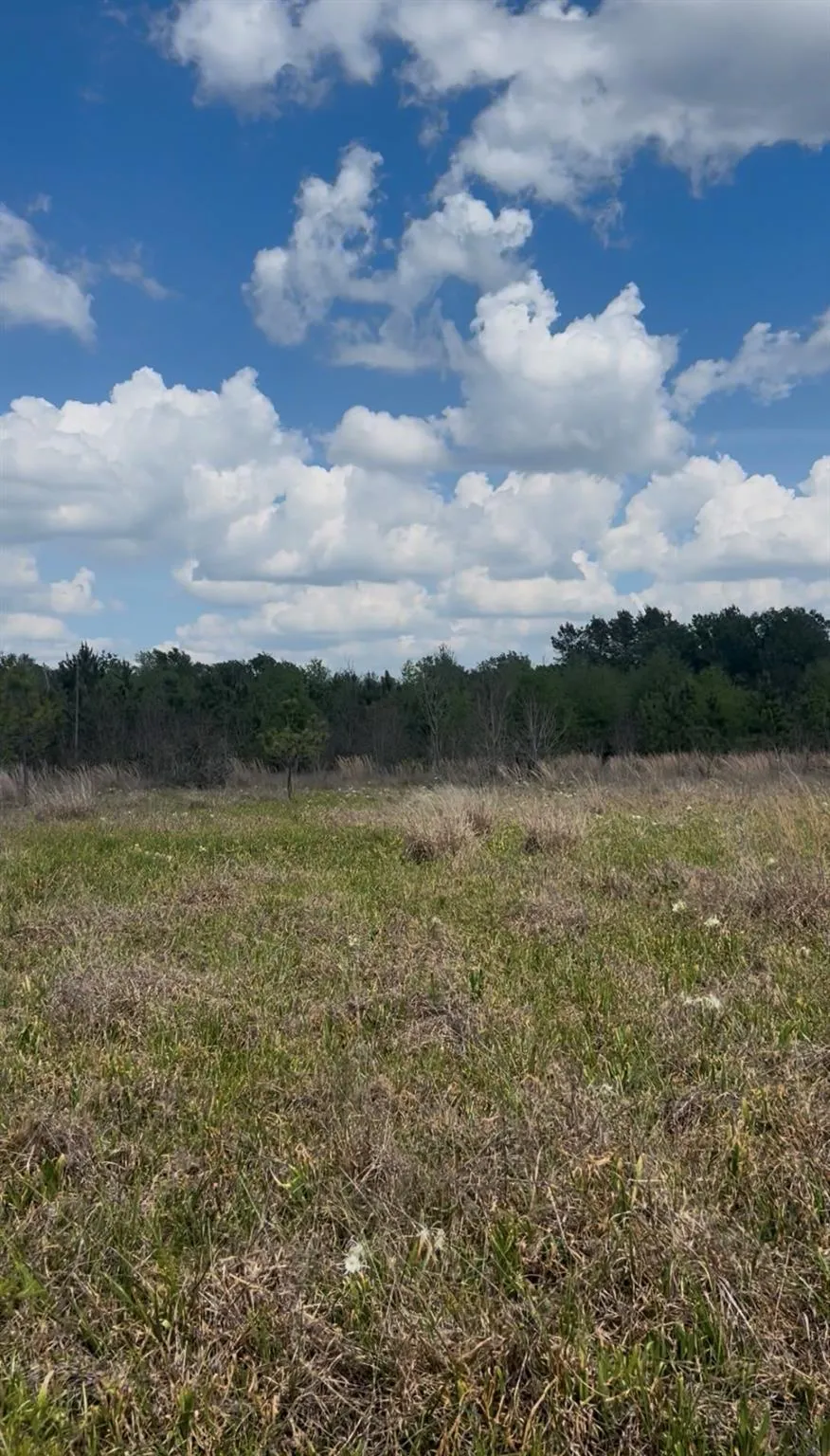 2147 8160 Tract 36 Lovelady, TX 75851