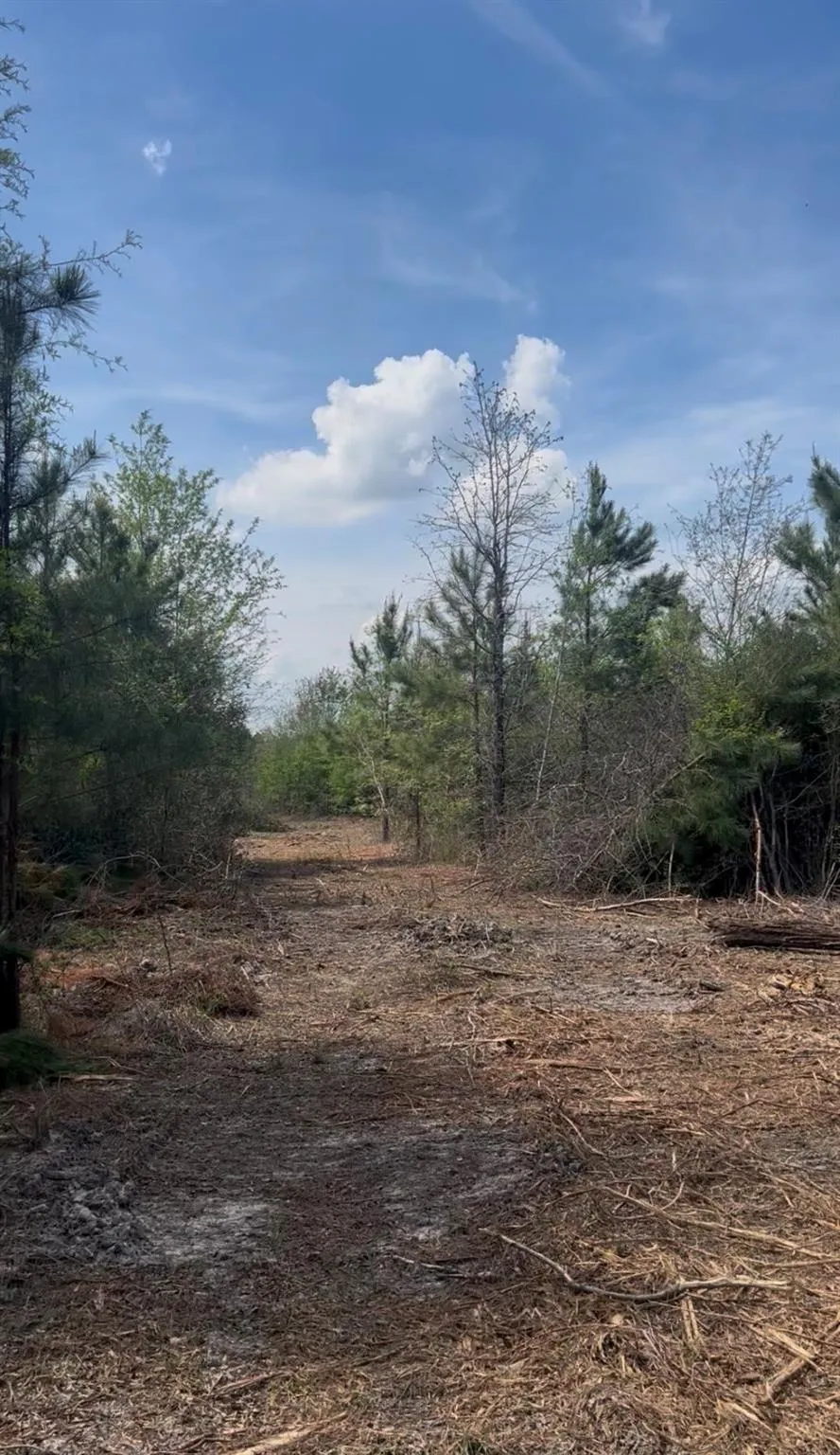 2147 8160 Tract 36 Lovelady, TX 75851