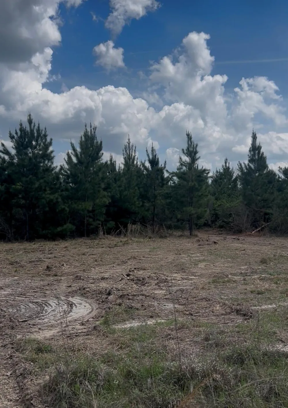 2147 8160 Tract 36 Lovelady, TX 75851