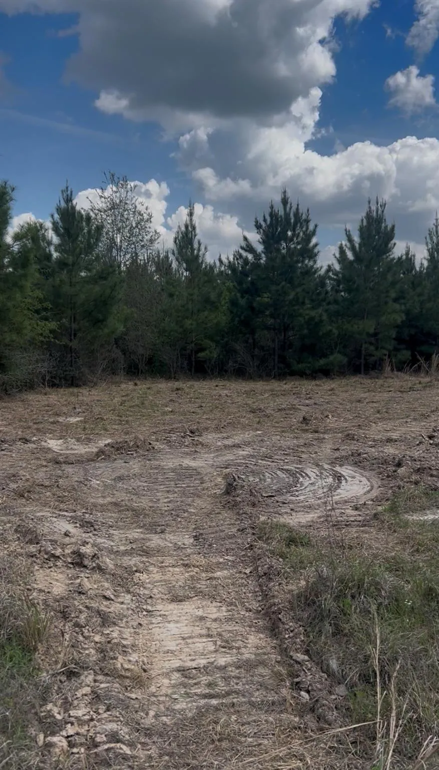 2147 8160 Tract 36 Lovelady, TX 75851