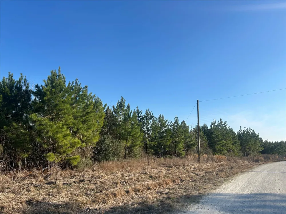 2147 8160 Tract 36 Lovelady, TX 75851
