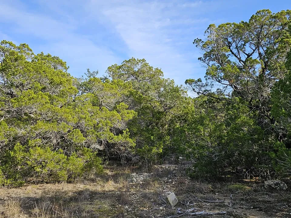 6438 Shaw Drive Marble Falls, TX 78654