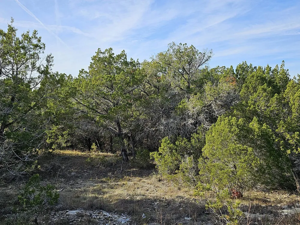 6438 Shaw Drive Marble Falls, TX 78654