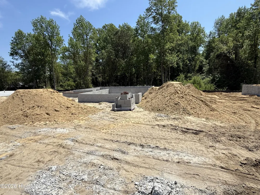 505 Romney Drive Beulaville, NC 28518