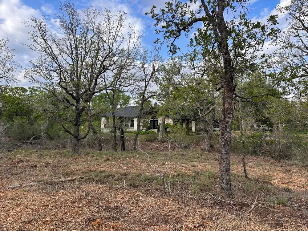 368 Woodlands Drive Bastrop, TX 78602