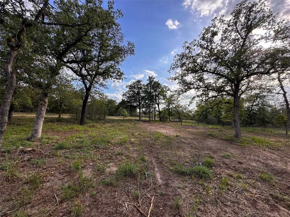 368 Woodlands Drive Bastrop, TX 78602