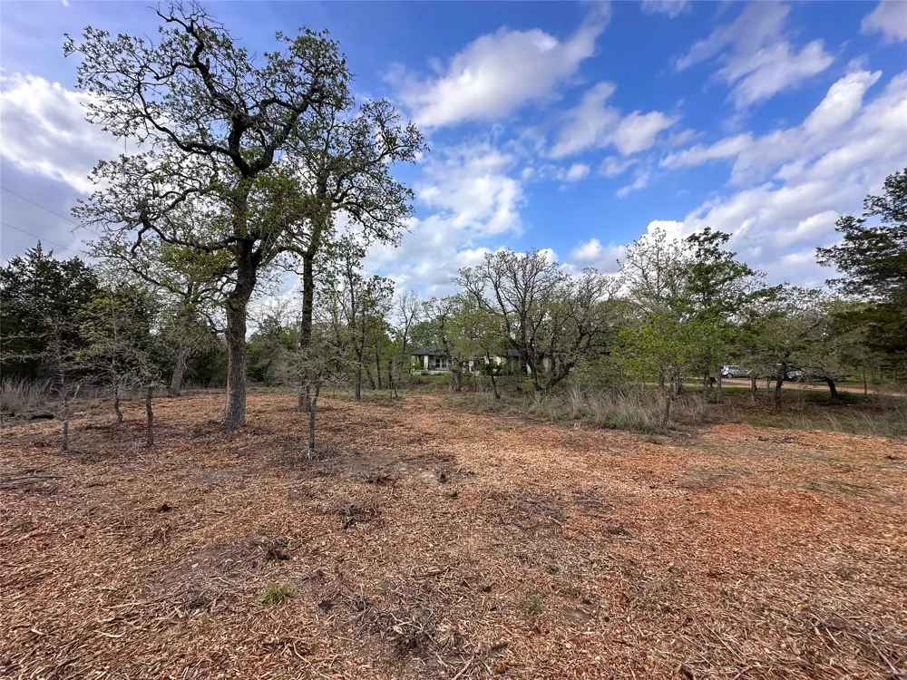 368 Woodlands Drive Bastrop, TX 78602
