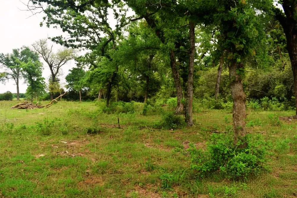 Fcr 421 W Buffalo, TX 75831