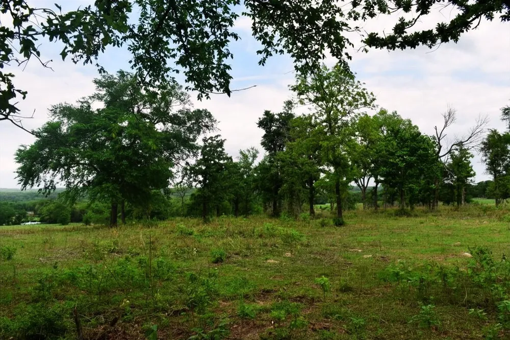 Fcr 421 W Buffalo, TX 75831