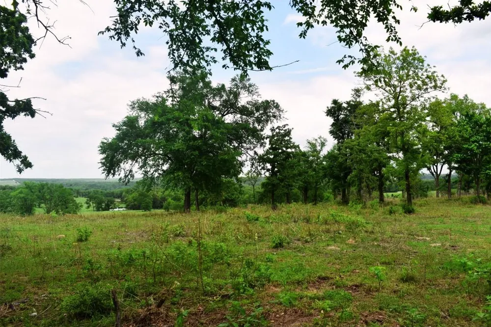 Fcr 421 W Buffalo, TX 75831