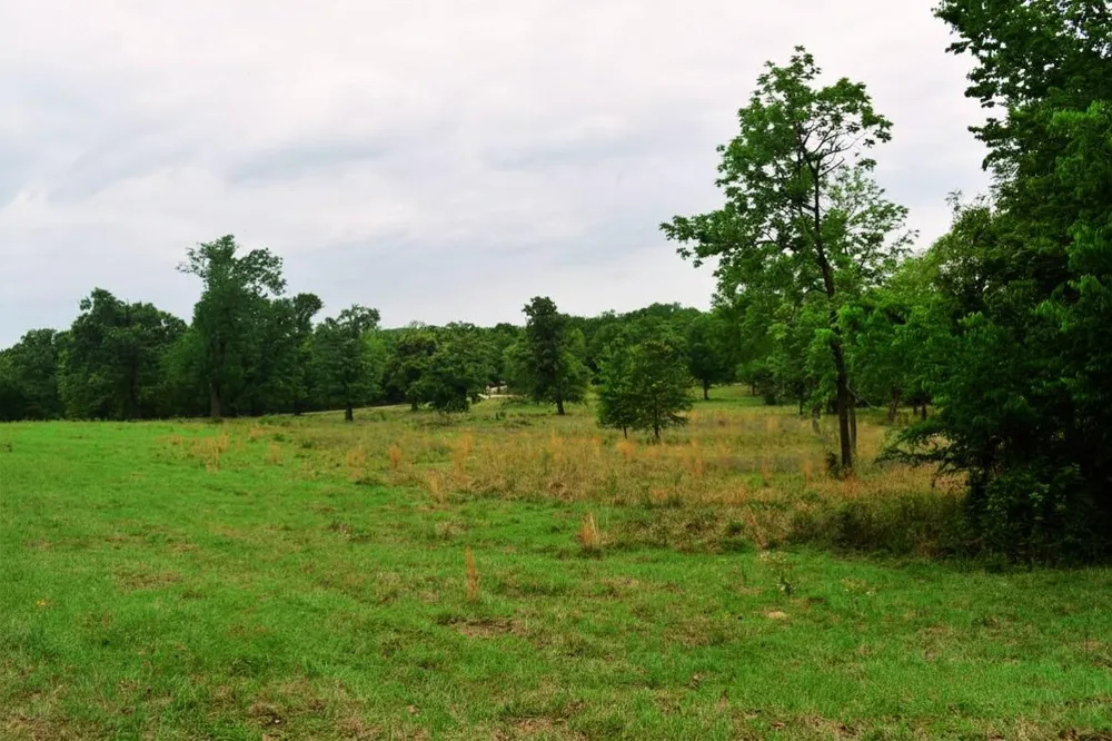 Fcr 421 W Buffalo, TX 75831