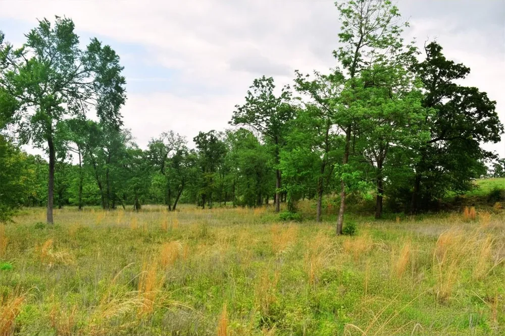Fcr 421 W Buffalo, TX 75831