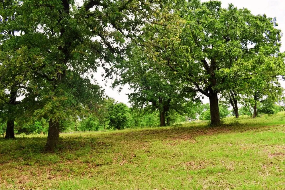 Fcr 421 W Buffalo, TX 75831