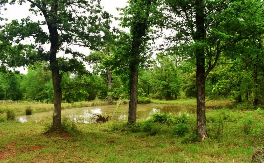 Fcr 421 W Buffalo, TX 75831