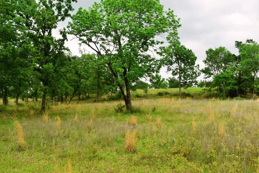 Fcr 421 W Buffalo, TX 75831