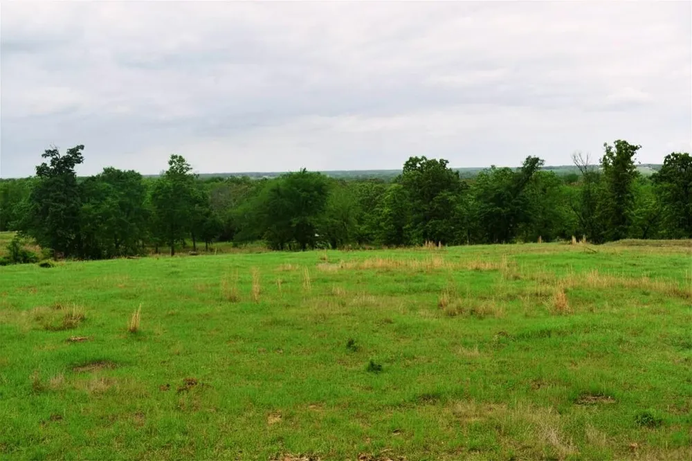 Fcr 421 W Buffalo, TX 75831