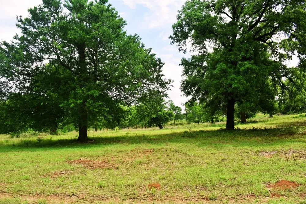 Fcr 421 W Buffalo, TX 75831