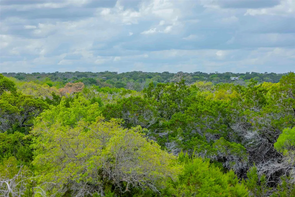 910 Abbey Road Liberty Hill, TX 78642