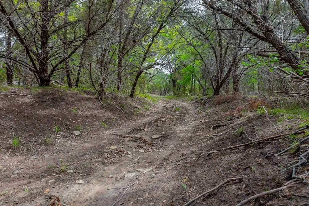 910 Abbey Road Liberty Hill, TX 78642