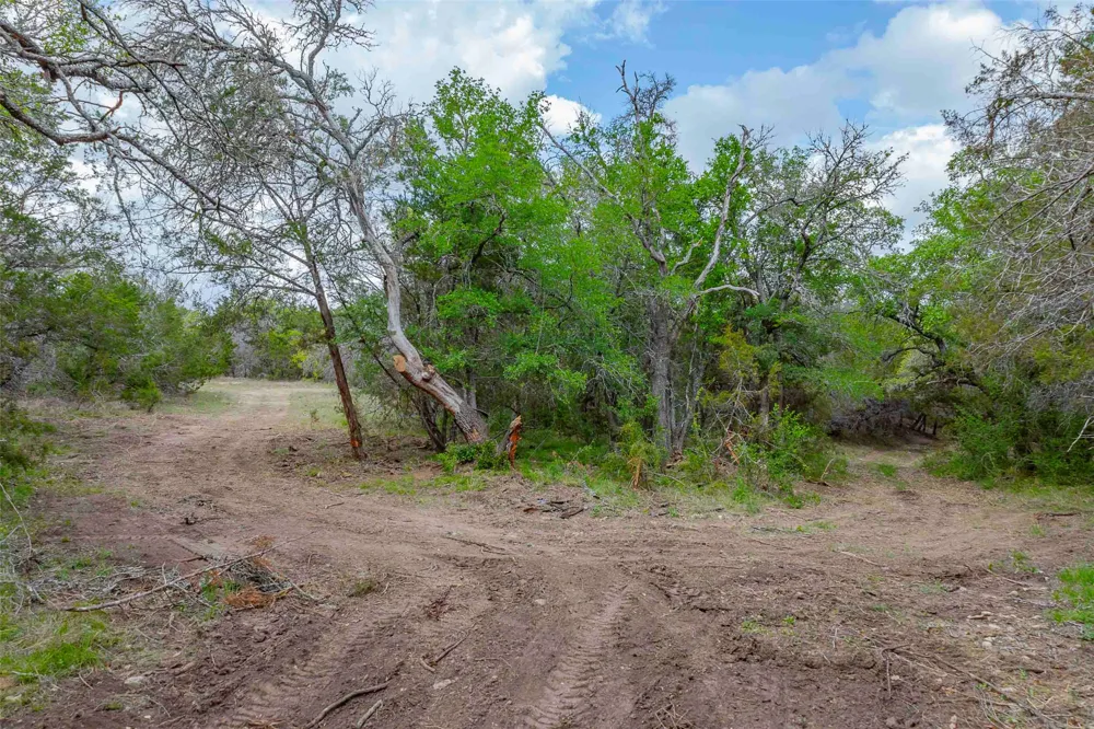 910 Abbey Road Liberty Hill, TX 78642