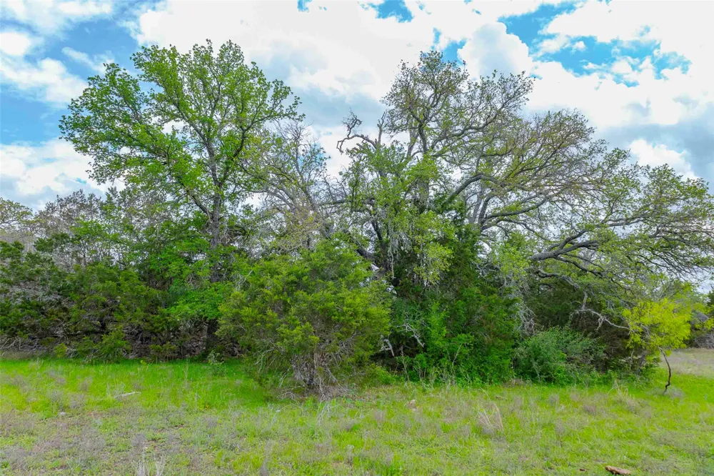 910 Abbey Road Liberty Hill, TX 78642