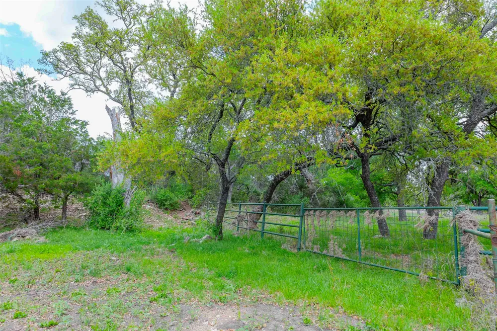 910 Abbey Road Liberty Hill, TX 78642