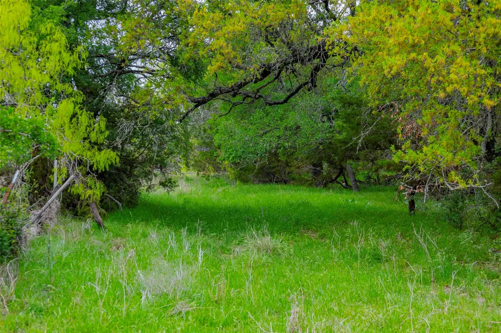 910 Abbey Road Liberty Hill, TX 78642