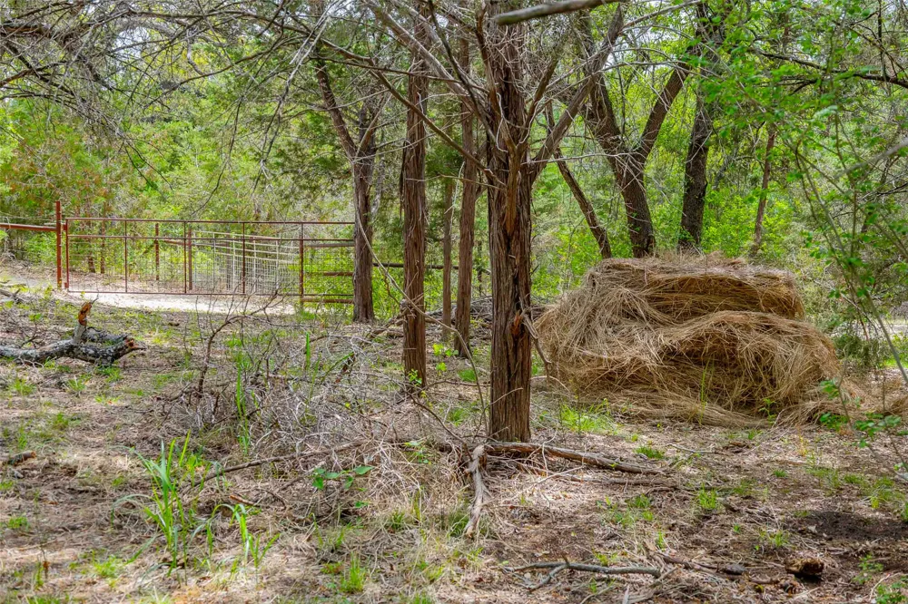 910 Abbey Road Liberty Hill, TX 78642