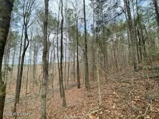 371 SW Low Water Lane Brookhaven, MS 39601