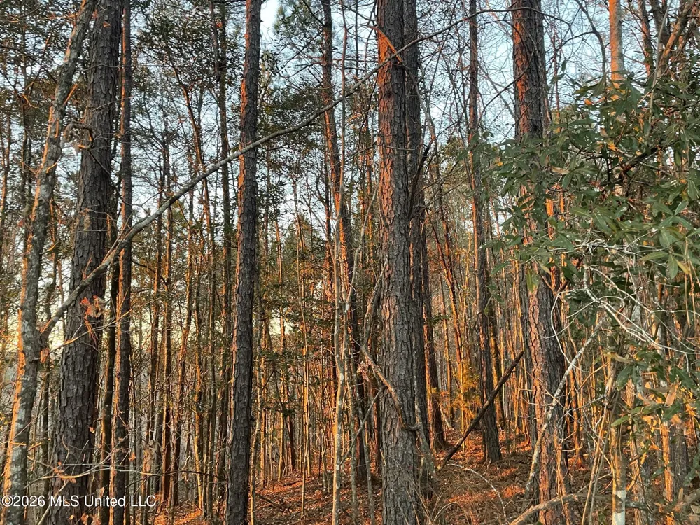 371 SW Low Water Lane Brookhaven, MS 39601