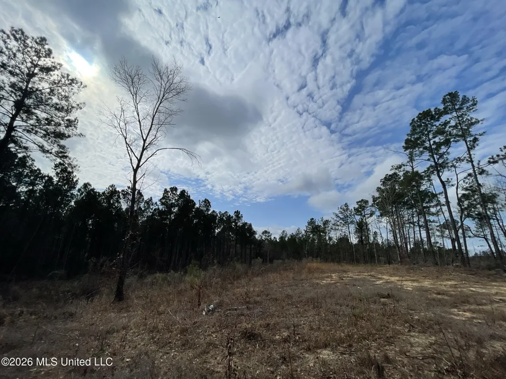 371 SW Low Water Lane Brookhaven, MS 39601