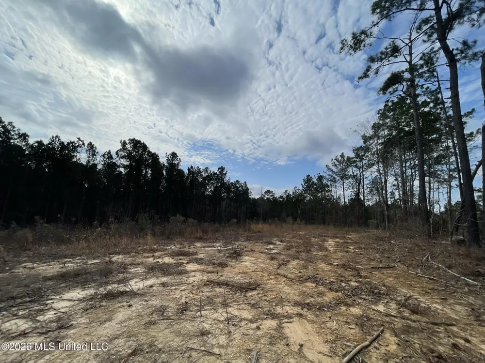 371 SW Low Water Lane Brookhaven, MS 39601