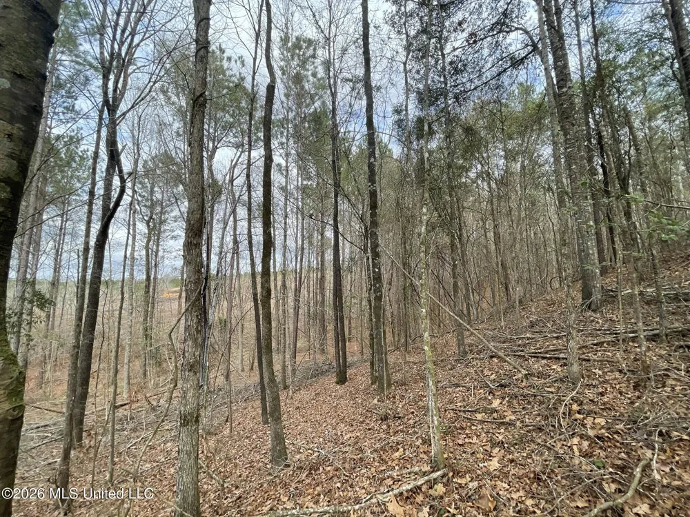 371 SW Low Water Lane Brookhaven, MS 39601