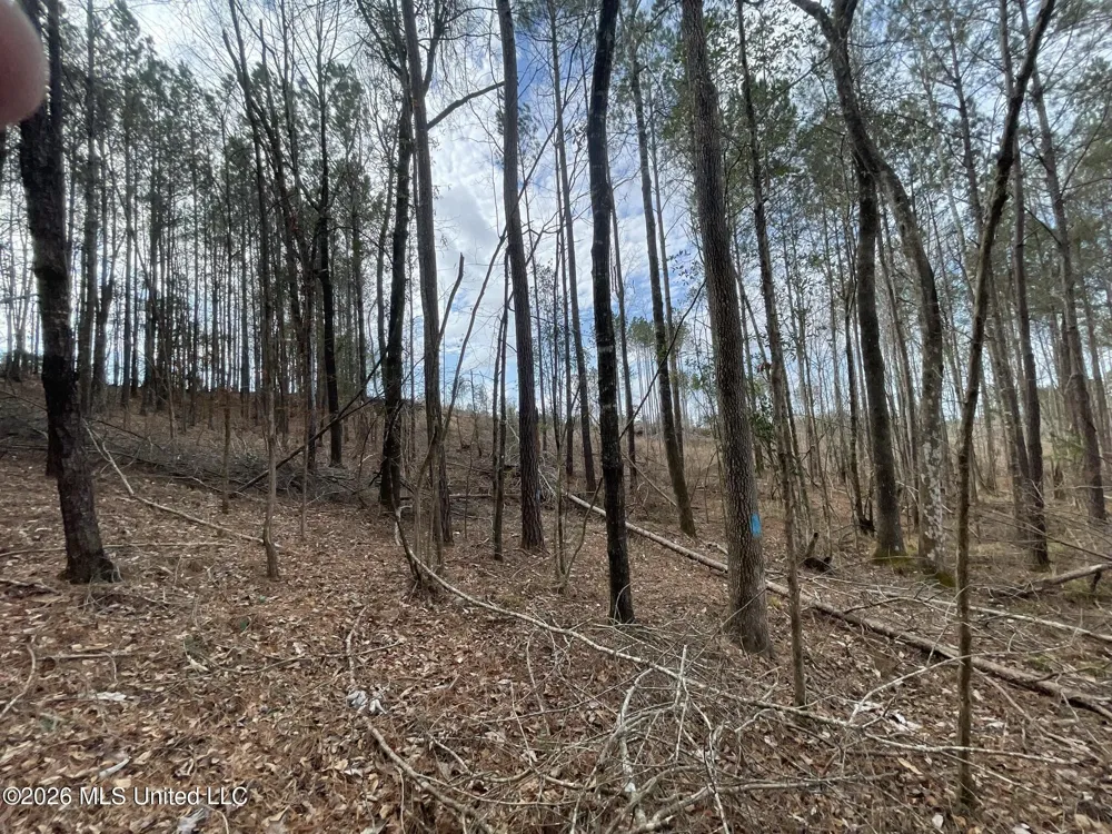 371 SW Low Water Lane Brookhaven, MS 39601