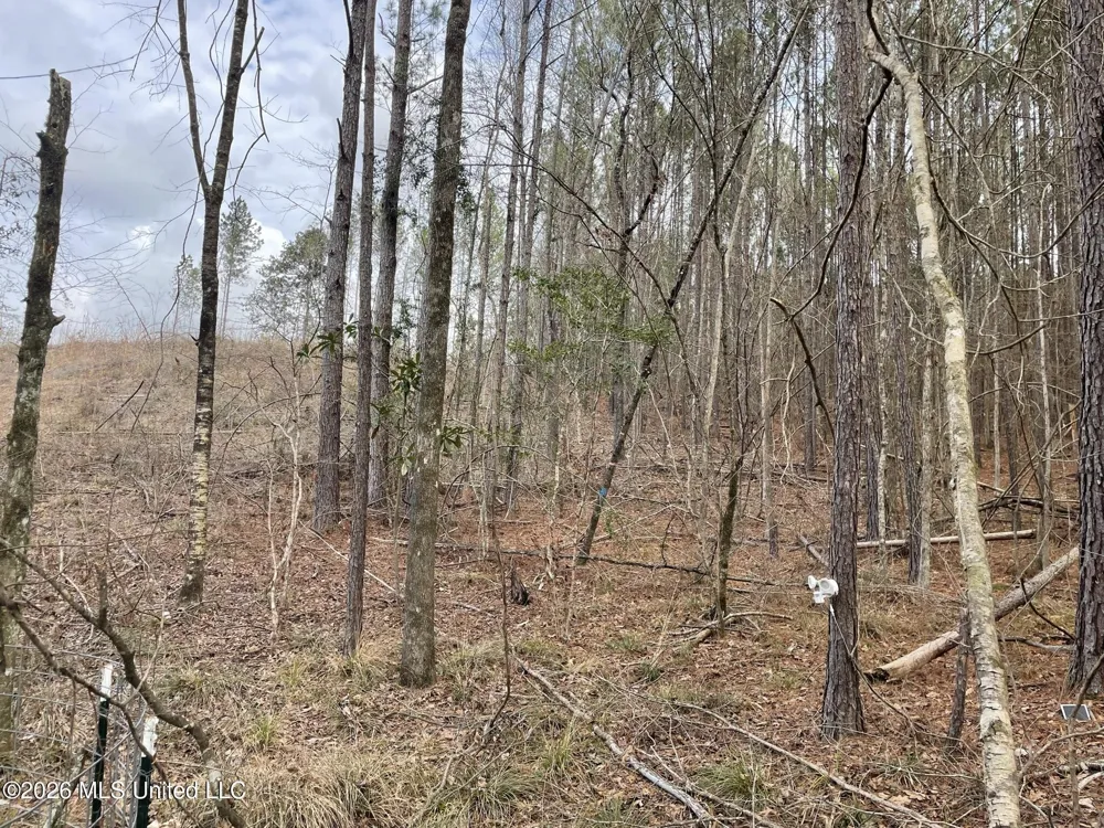 371 SW Low Water Lane Brookhaven, MS 39601