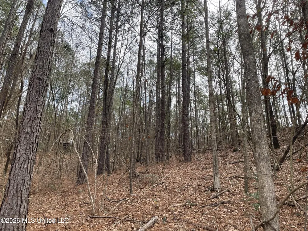 371 SW Low Water Lane Brookhaven, MS 39601