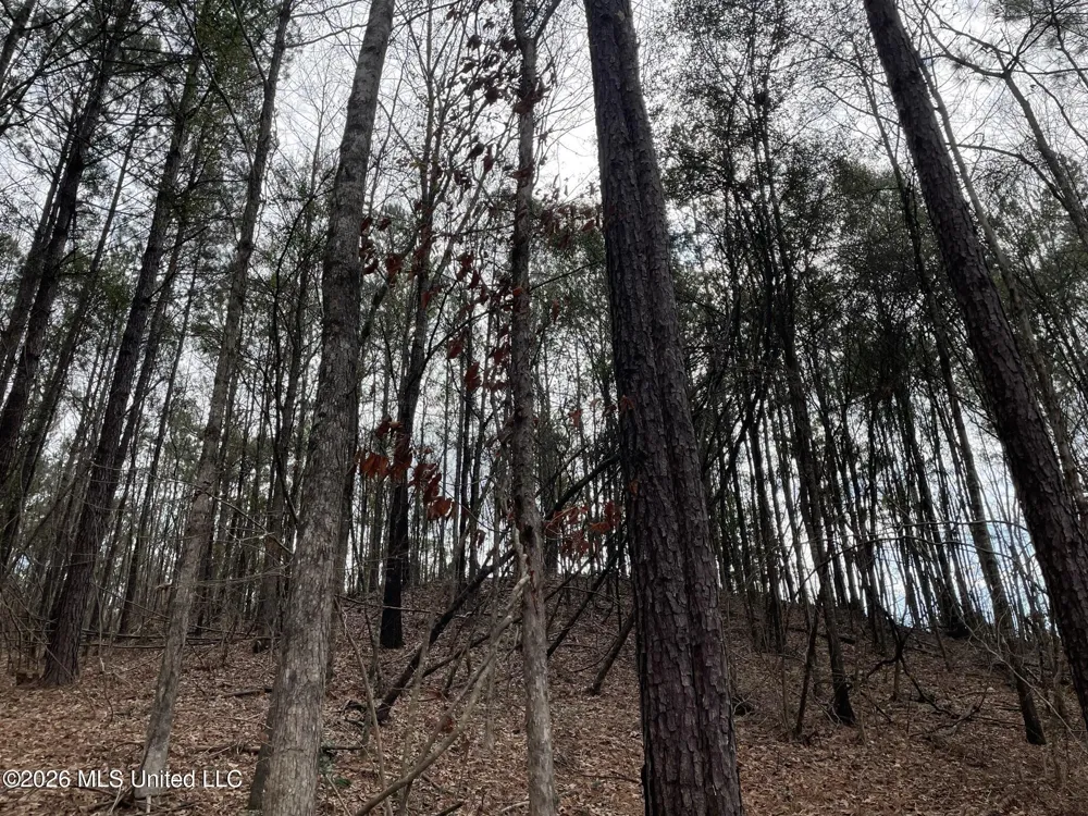 371 SW Low Water Lane Brookhaven, MS 39601