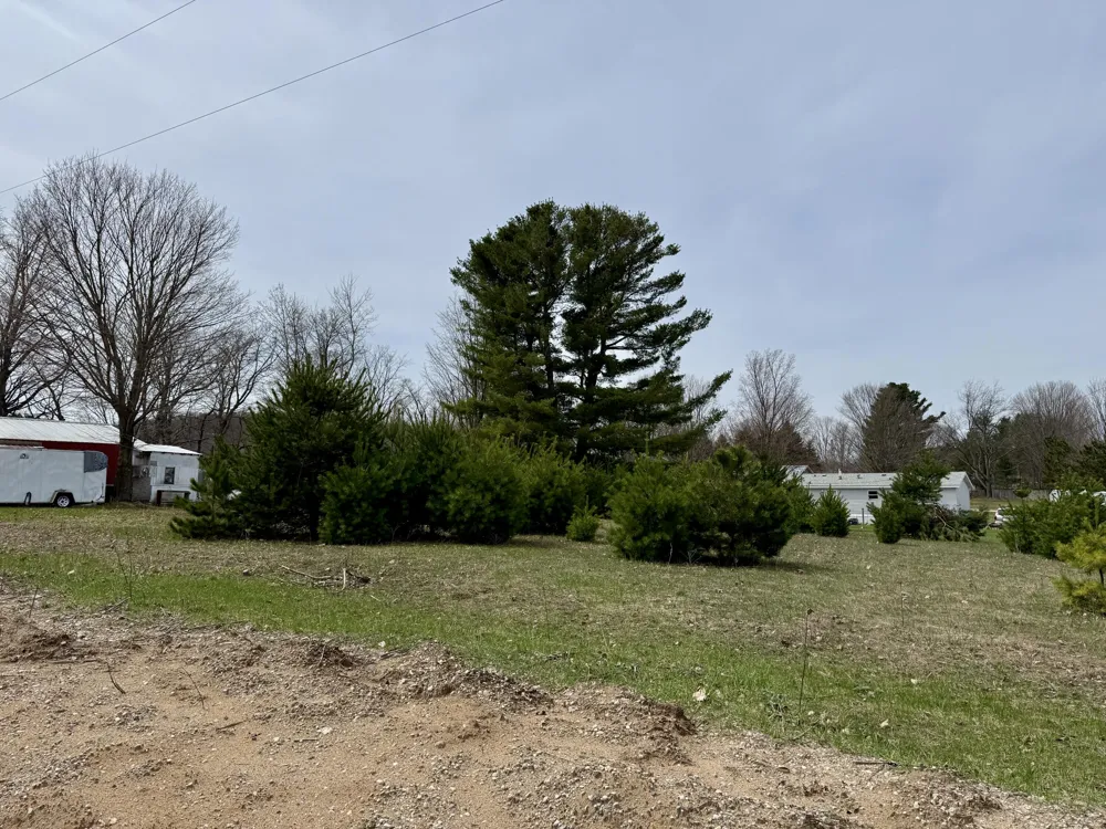 1 Ninth Street Bear Lake, MI 49614