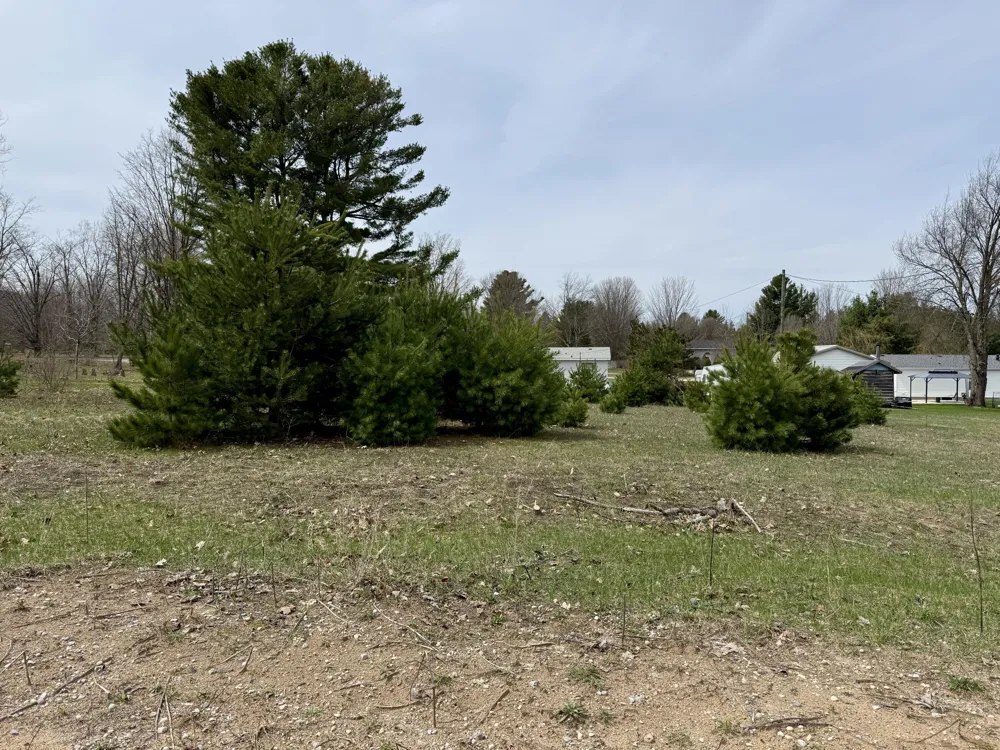 1 Ninth Street Bear Lake, MI 49614