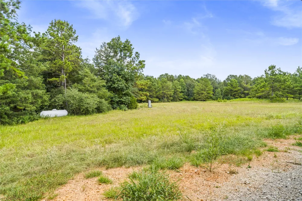 21203 Peach Wood Ct Cleveland, TX 77328