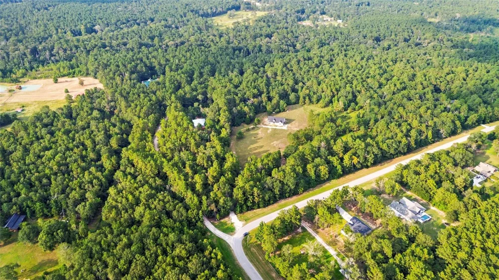 21203 Peach Wood Ct Cleveland, TX 77328