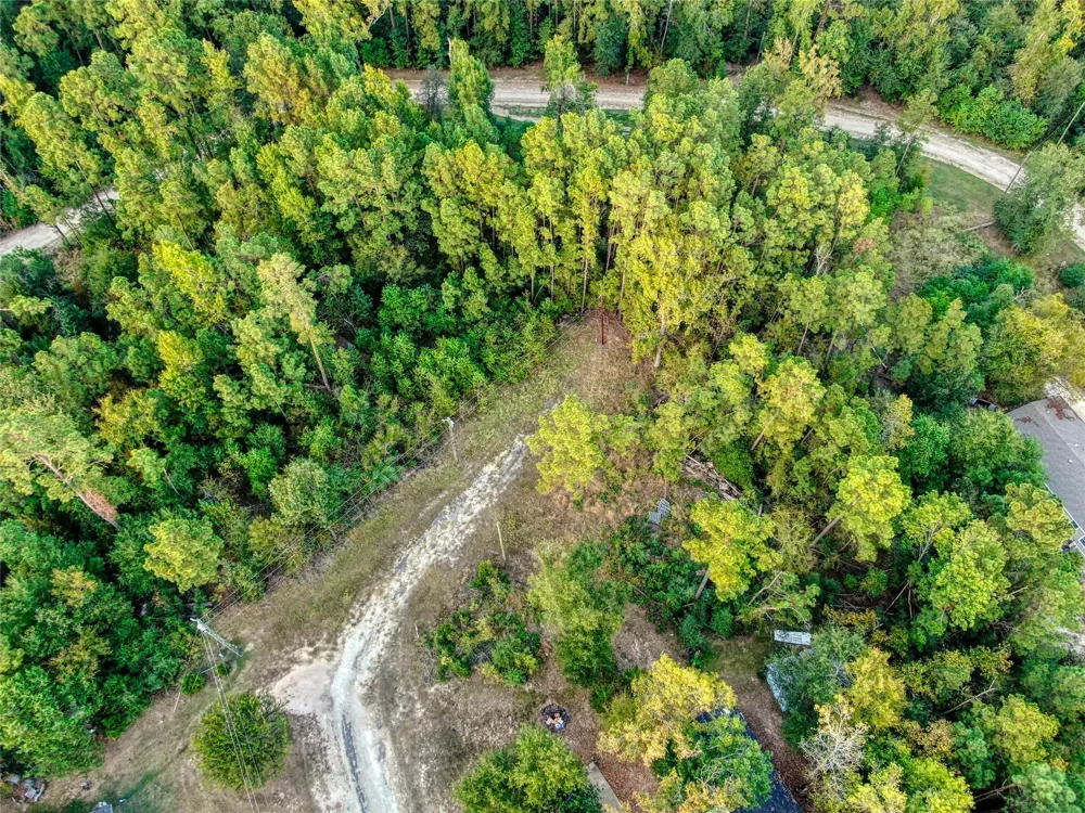 184 Willow Drive Onalaska, TX 77360