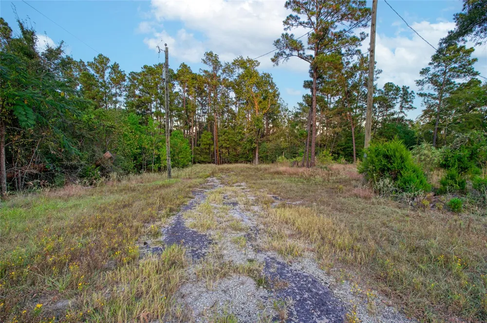 184 Willow Drive Onalaska, TX 77360