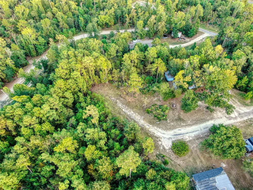 184 Willow Drive Onalaska, TX 77360