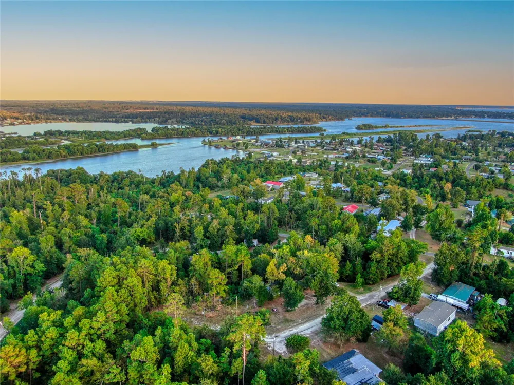184 Willow Drive Onalaska, TX 77360