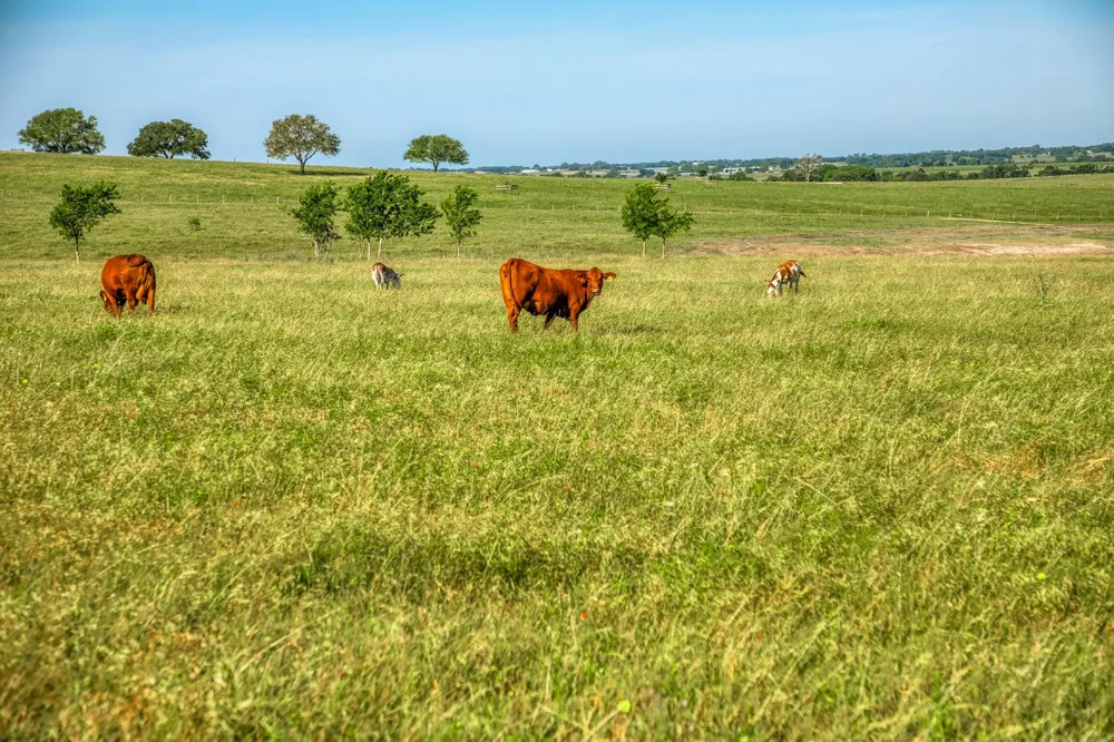 5005 Fuchs Rd Burton, TX 77835
